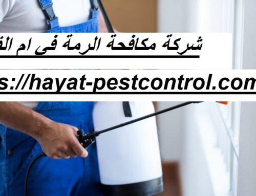 شركة مكافحة الرمة في ام القيوين |0501175141| مكافحة نمل