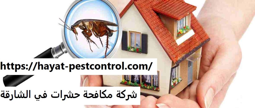 شركة مكافحة حشرات في الشارقة