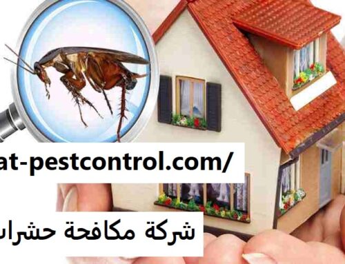 شركة مكافحة حشرات في الشارقة |0527868023| ابادة الحشرات