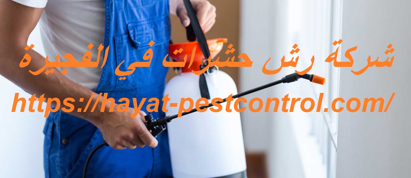 شركة رش حشرات في الفجيرة