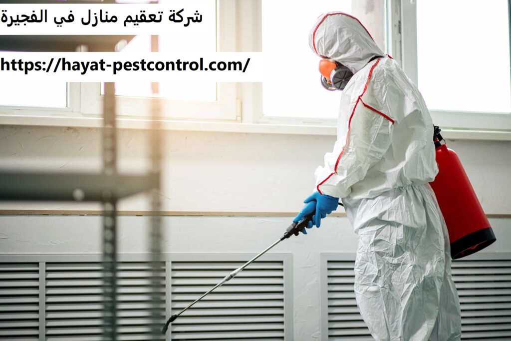 شركة تعقيم منازل في الفجيرة