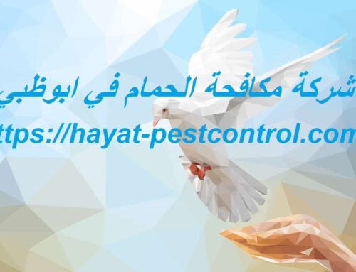 شركة مكافحة الحمام في ابوظبي |0527868023| طارد الطيور