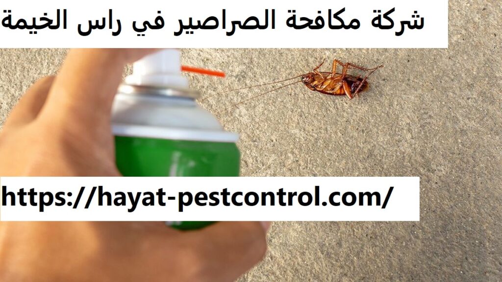 شركة مكافحة الصراصير في راس الخيمة