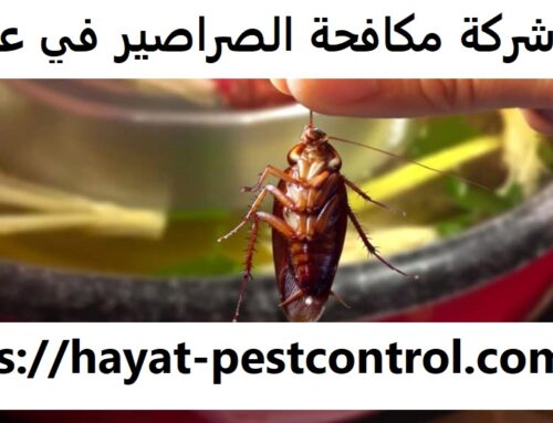 شركة مكافحة الصراصير في عجمان |0527868023| رش حشرات