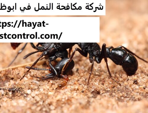 شركة مكافحة النمل في ابوظبي |0527868023| طرد النمل
