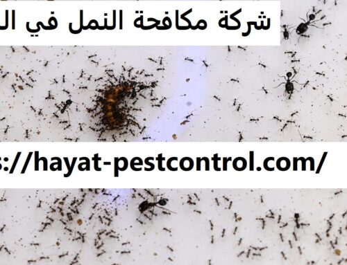 شركة مكافحة النمل في الشارقة |0527868023| ابادة النمل
