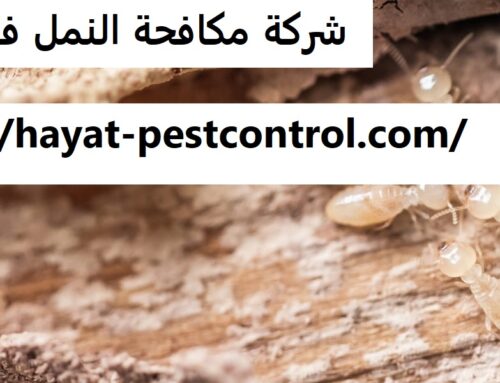 شركة مكافحة النمل في العين |0501175141| ابادة النمل