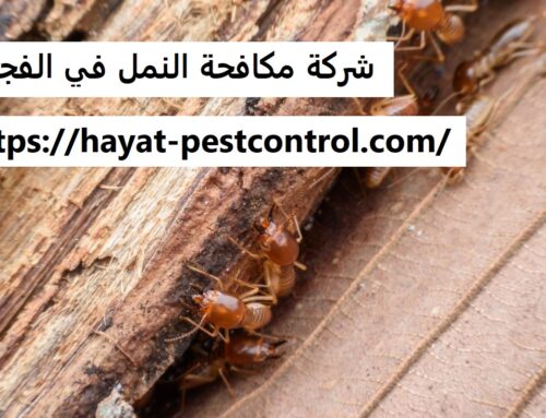 شركة مكافحة النمل في الفجيرة |0527868023| رش نمل