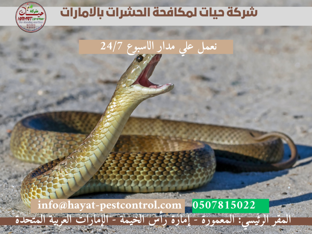 شركة مكافحة الثعابين