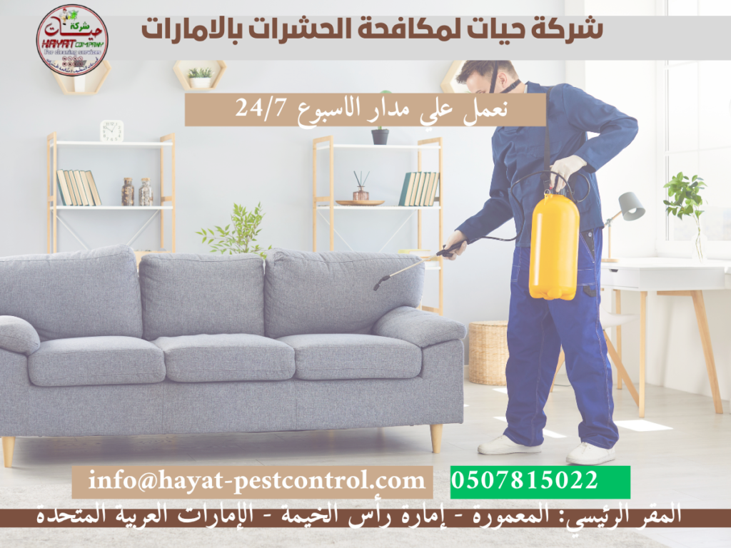 شركة مكافحة حشرات بالامارات